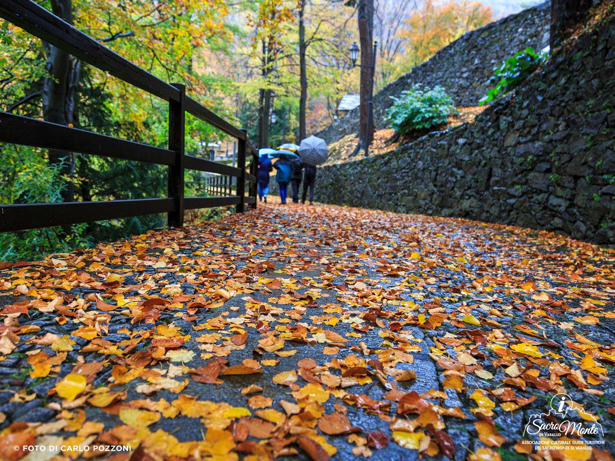 Sacro Monte di Varallo, visite naturalistiche