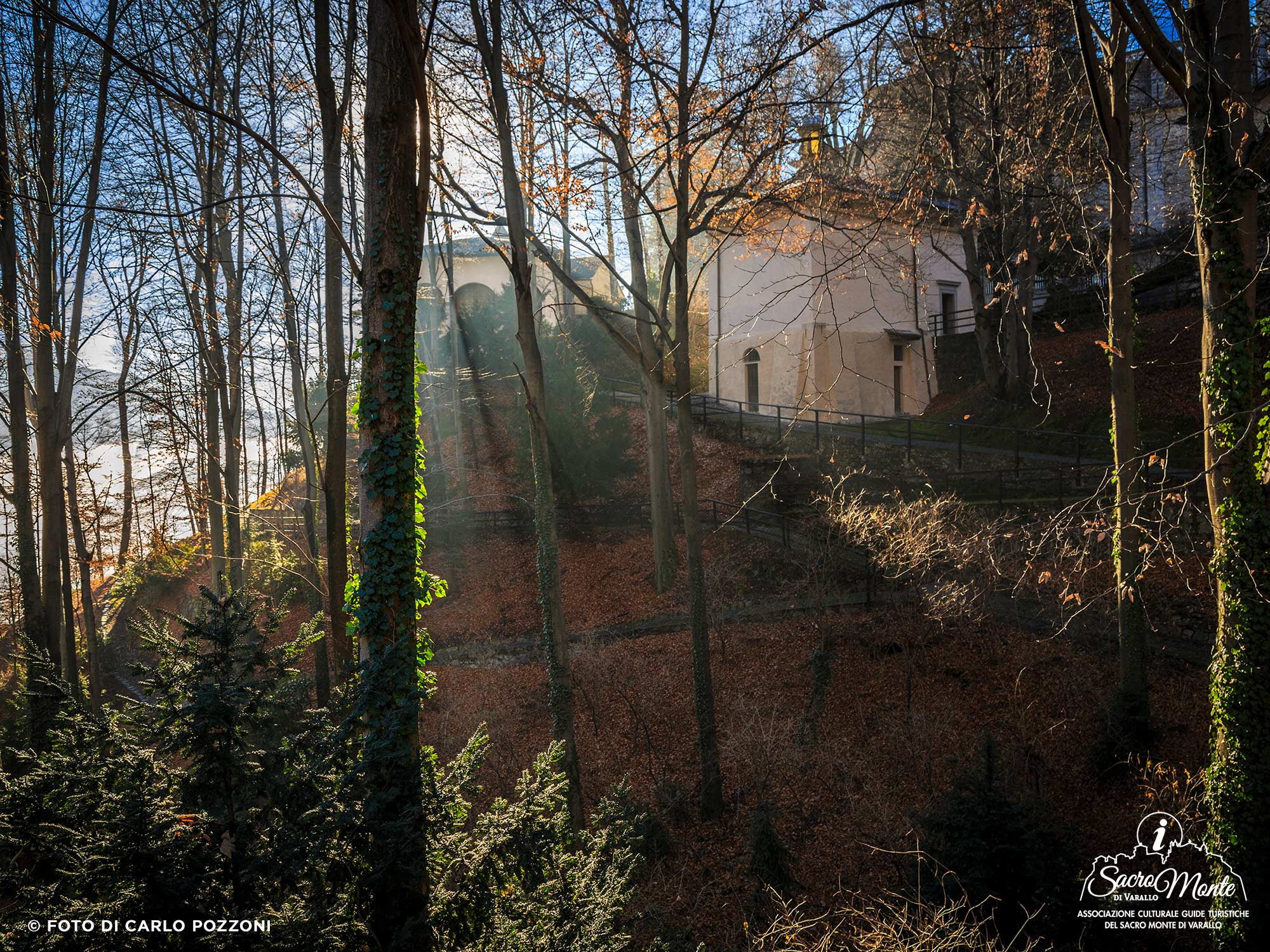 Sacro Monte di Varallo, visite naturalistiche