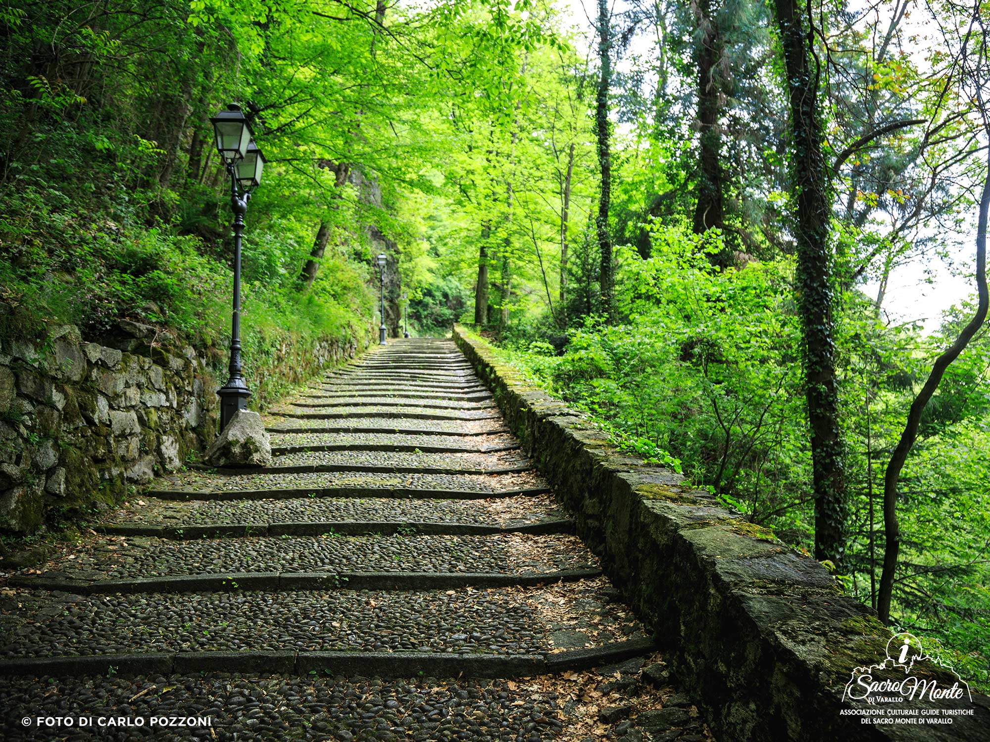 Sacro Monte di Varallo, visite naturalistiche